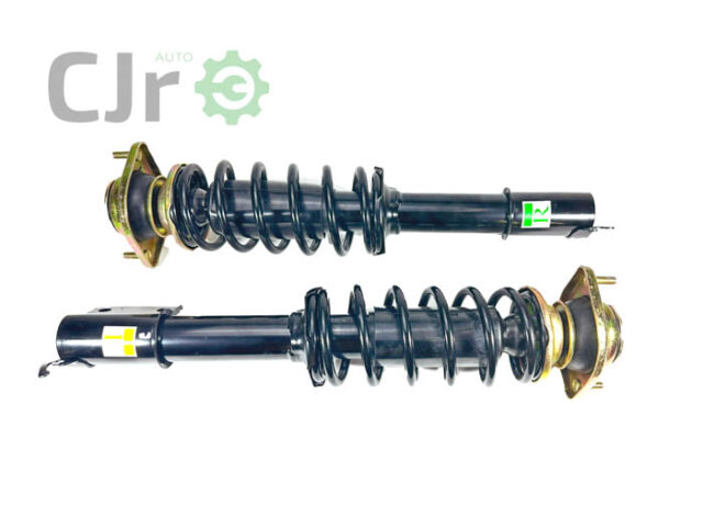 Par Amortecedor Dianteiro Completo LIFAN MOTORS 320