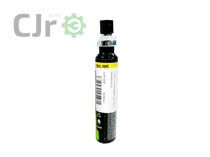 CJRIT250P-B ODORIZADOR LEMON E GINGER 40 ML