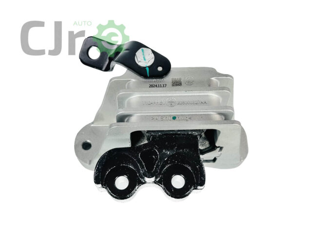 Coxim Direito Motor