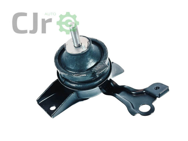 Coxim Direito Motor